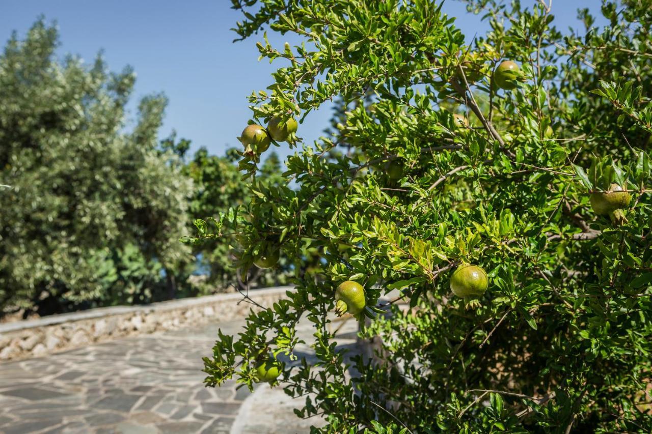 Ploes Luxury Cottages Pesádha Buitenkant foto