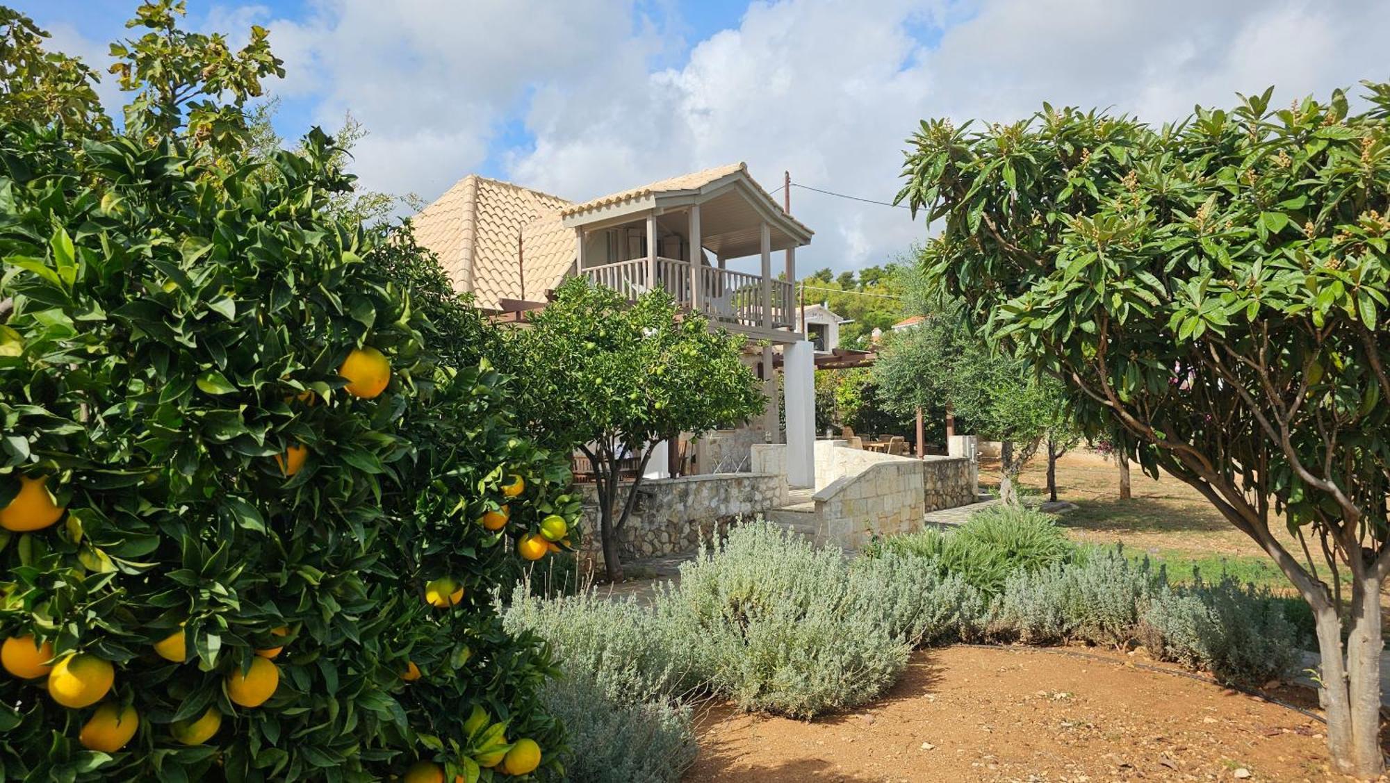 Ploes Luxury Cottages Pesádha Buitenkant foto