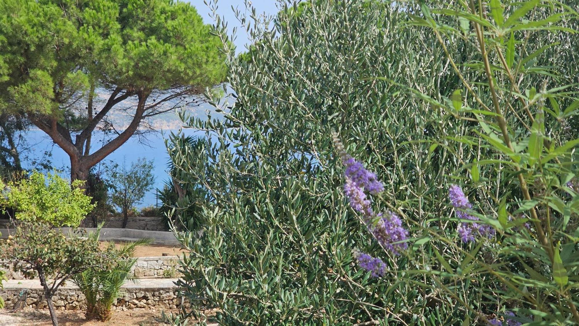 Ploes Luxury Cottages Pesádha Buitenkant foto